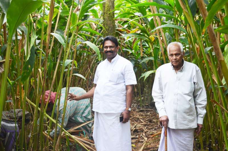 Coir fibre drying in the Alappuzha sun
